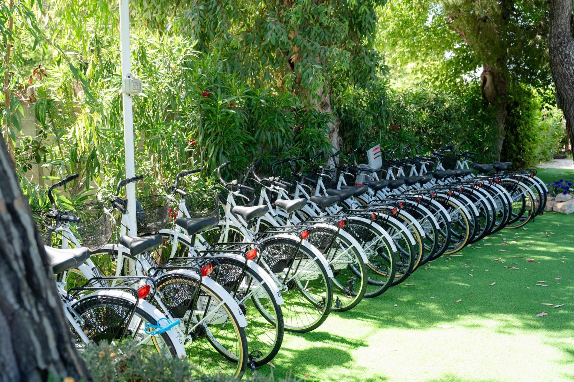 Club Del Sole Stork Family Collection Hotell Giulianova Exteriör bild